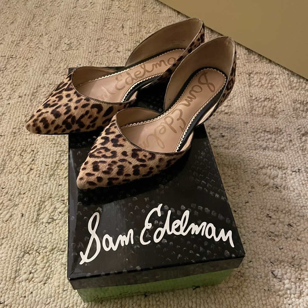 Pointy toe flat